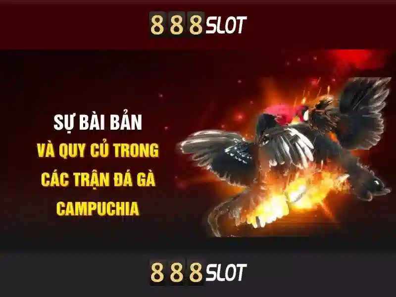 aw 888 slot – Tổng quan chủ đề và giá trị cốt lõi