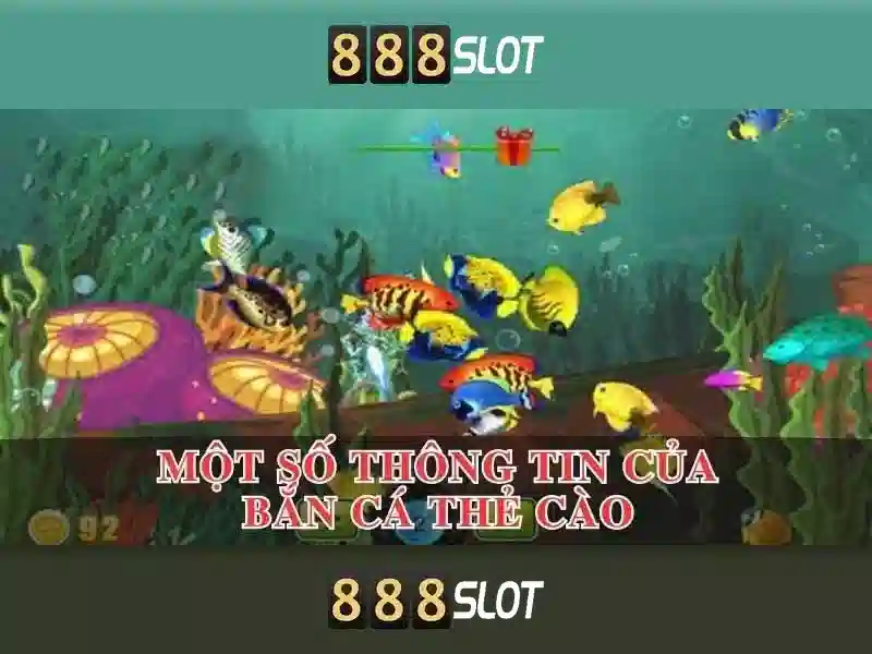 Trải nghiệm người dùng và giao diện