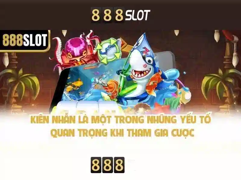 Trải nghiệm người dùng và phản hồi cộng đồng