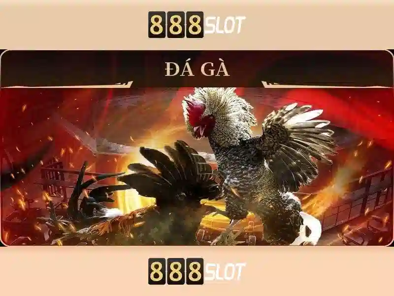 Tại sao chọn 888slot