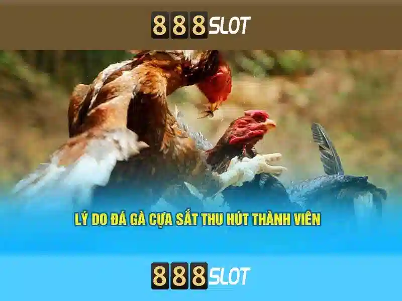 Cách tham gia và nạp rút