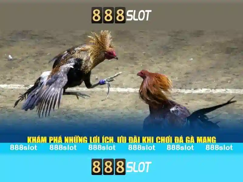 Danh sách trò chơi và tính năng đặc biệt
