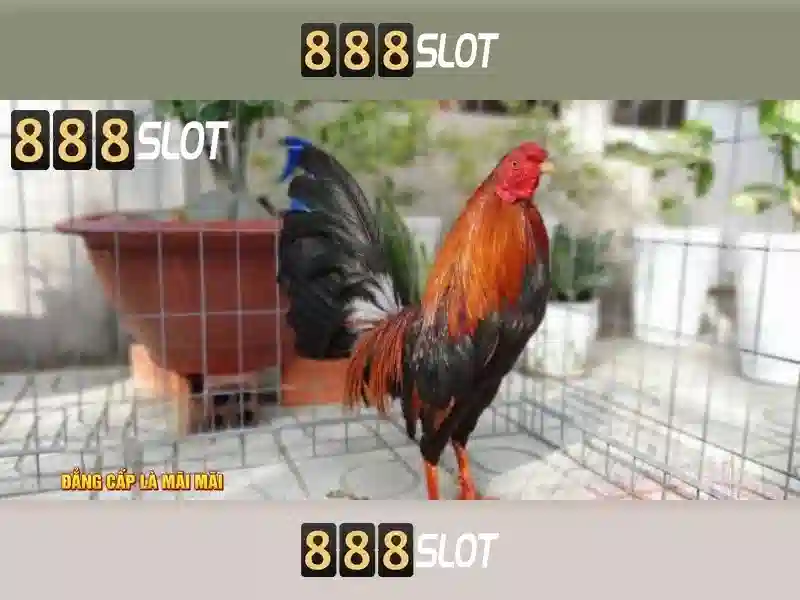888slot - Nền tảng slot trực tuyến đáng tin cậy và giải trí