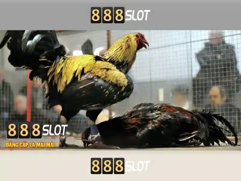 Giới thiệu về 888slot