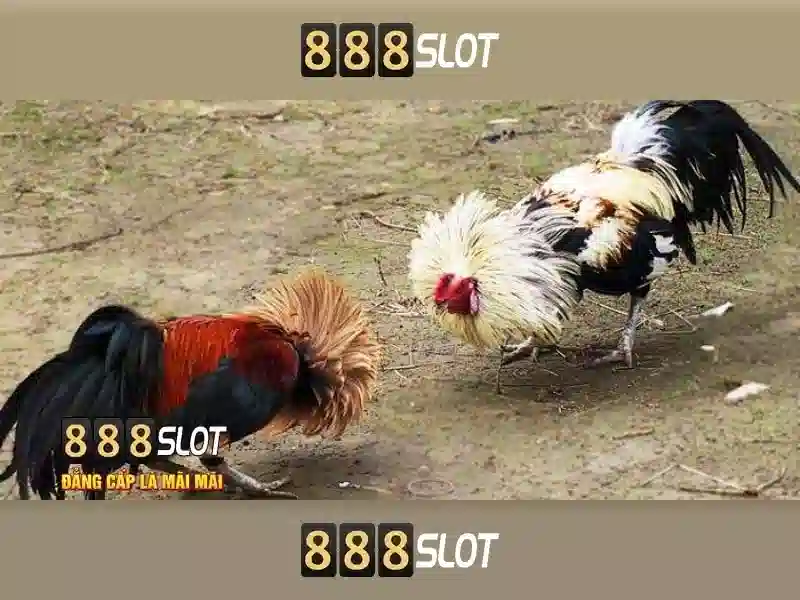 An toàn và uy tín tại 888slot