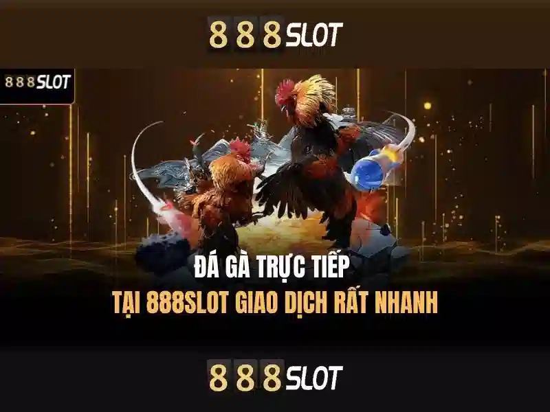 Trải nghiệm chơi slot đa dạng tại 888slot\n