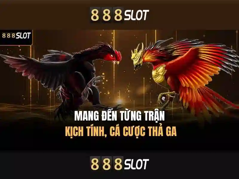 Giới thiệu về 888slot - nền tảng chơi slot trực tuyến