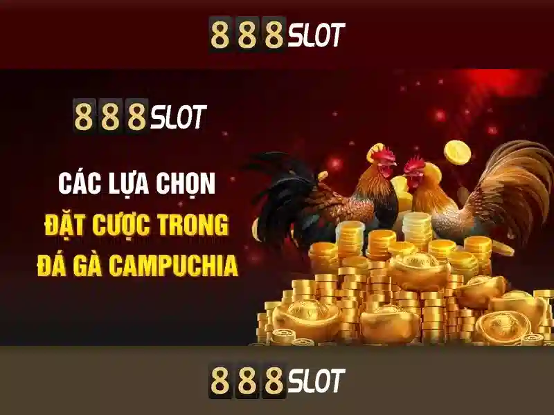 Giao diện người dùng và tối ưu di động