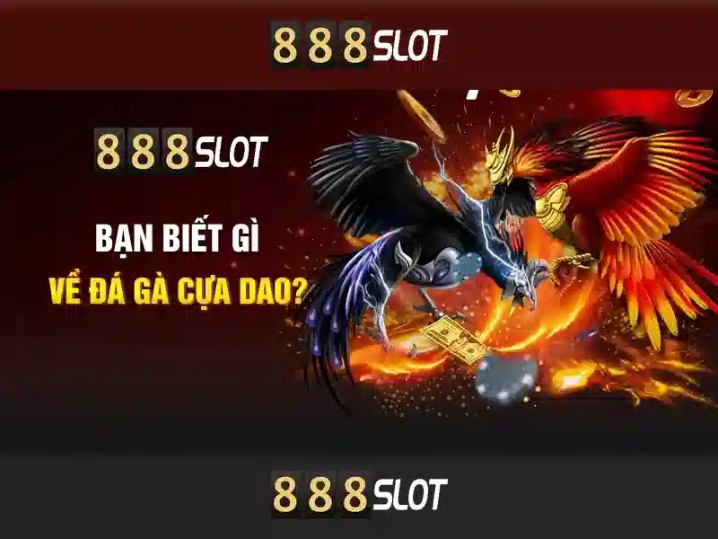 Giao diện và trải nghiệm người dùng