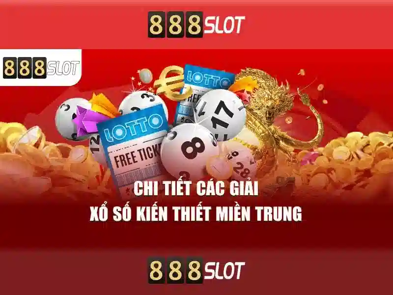 Trải nghiệm người dùng và giao diện