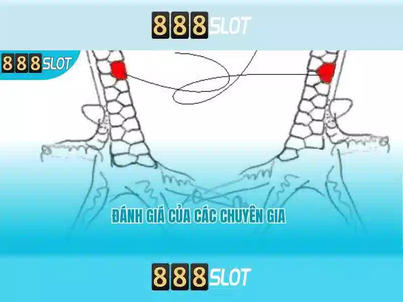 An toàn và thanh toán