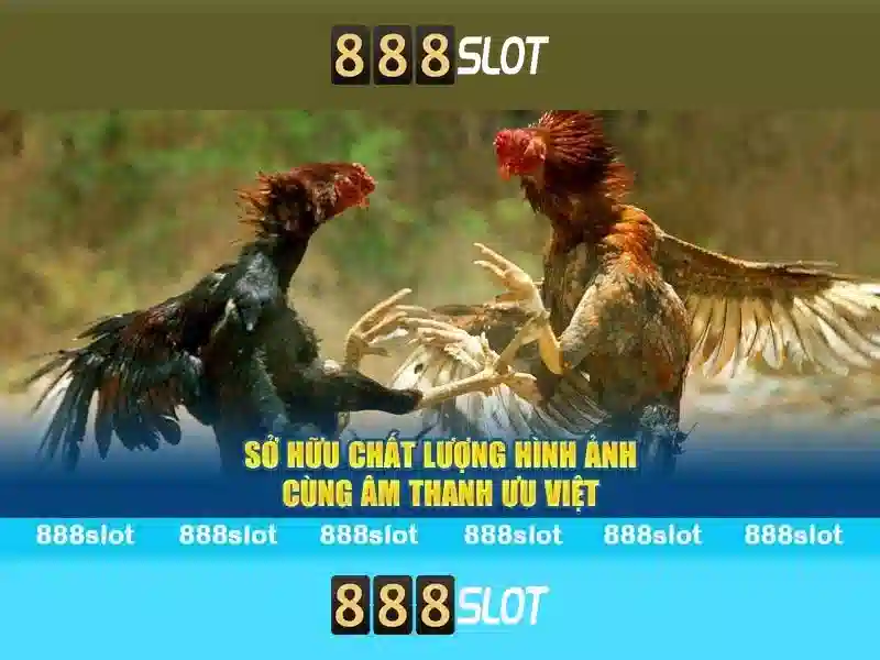 Mẹo chơi bắn cá 3 cây dễ ăn tiền nhà cái
