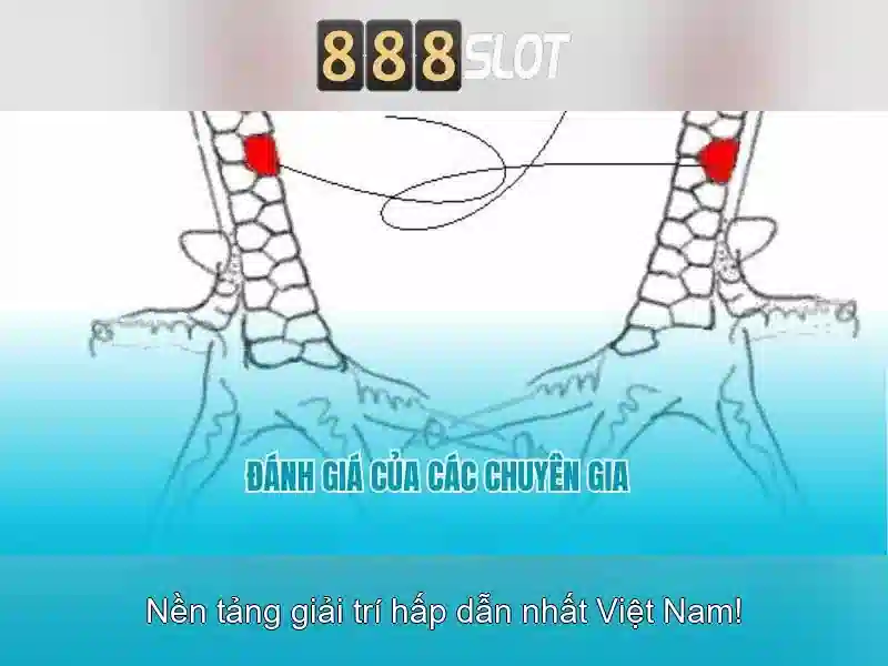 888slot: Đánh giá tổng quan và trải nghiệm người dùng