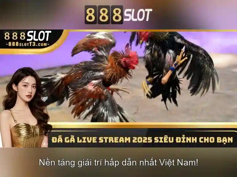 Giới thiệu về 888slot
