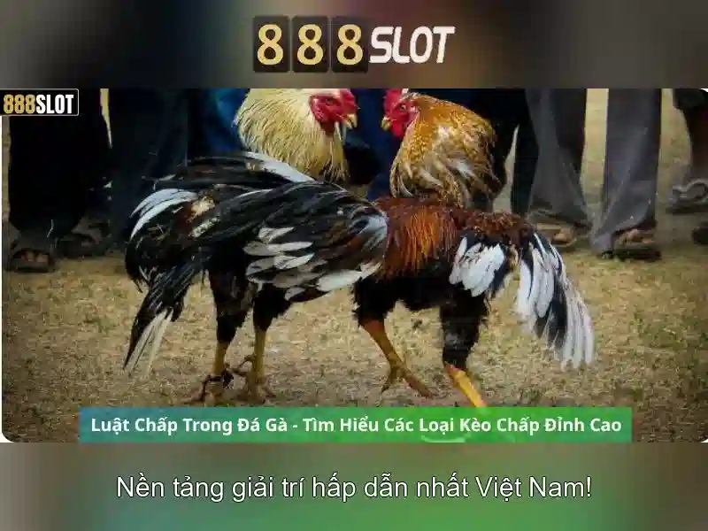Mẹo chơi bắn cá 3 cây dễ ăn tiền nhà cái