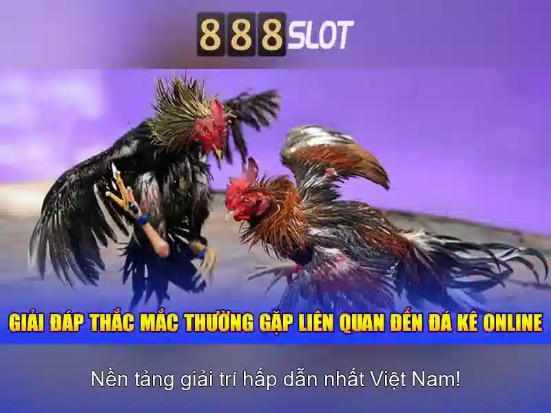 888slot – Trải nghiệm Casino Trực Tuyến Hàng Đầu