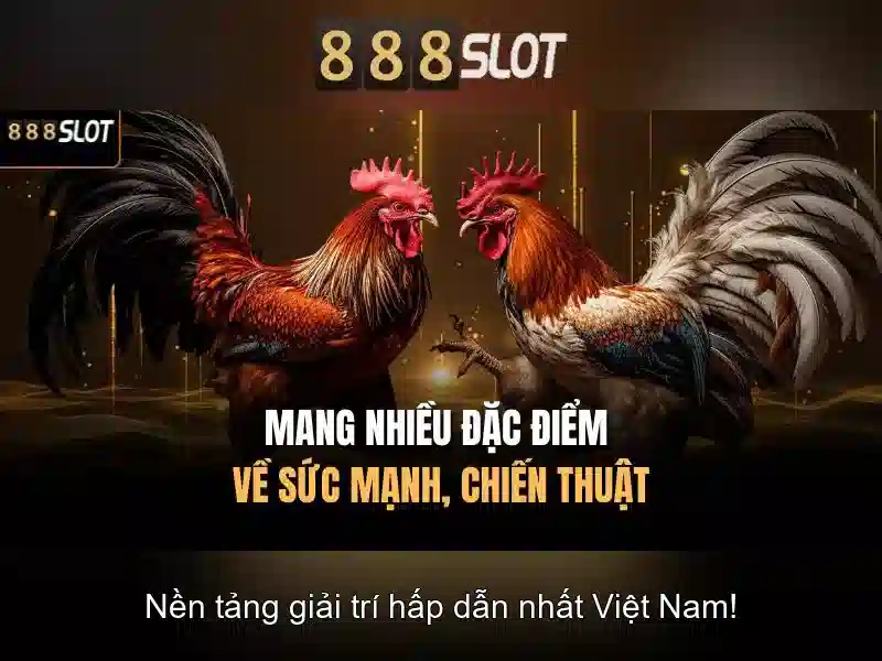 Các sản phẩm và dịch vụ bull 888 slot