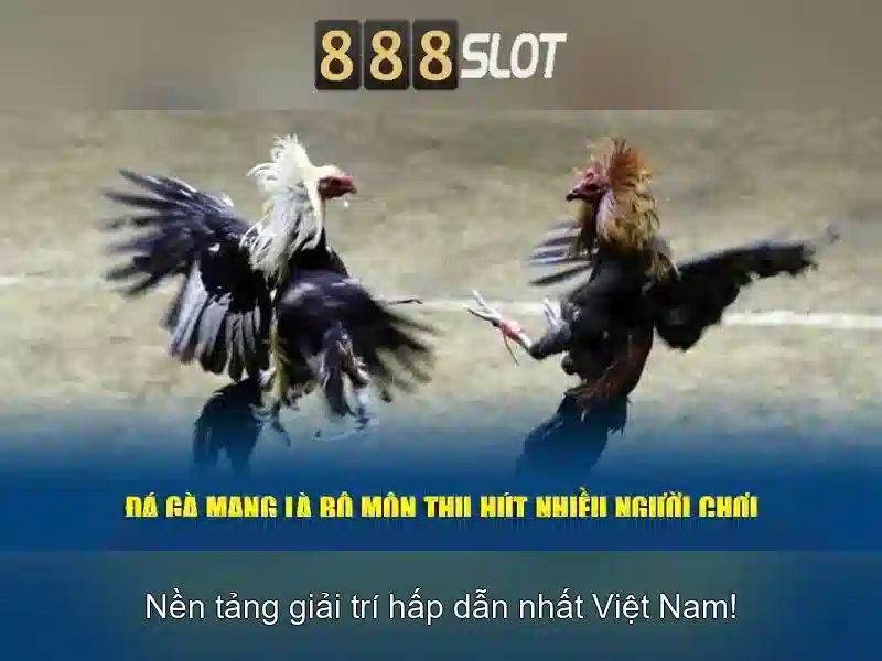 Trò chơi đa dạng và chất lượng